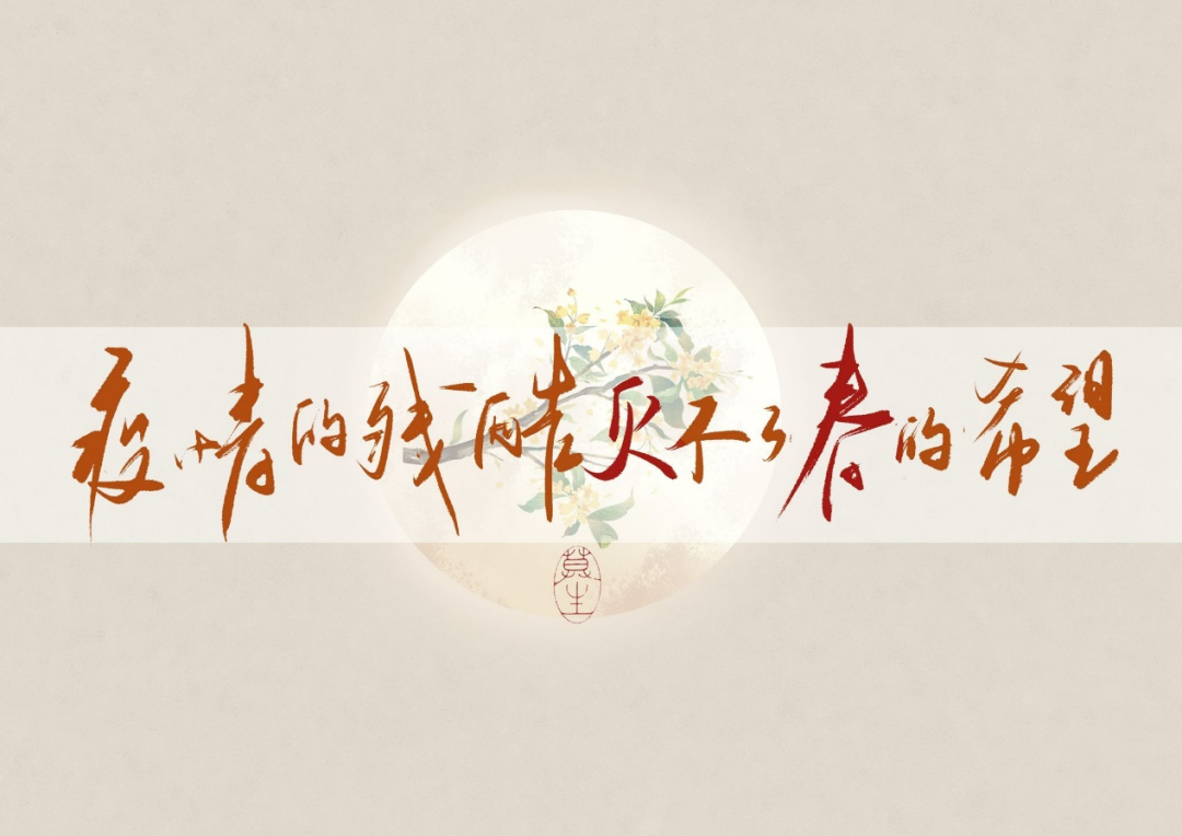 IMG_256 IMG_256