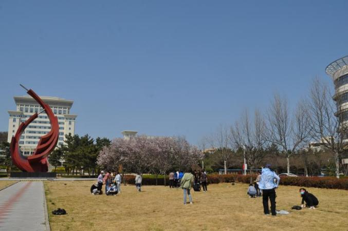 IMG_256 IMG_256